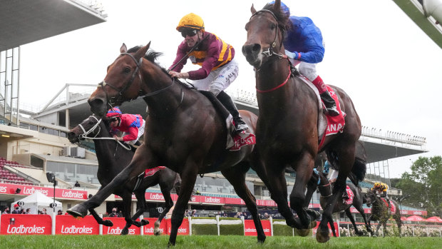 State Of Rest (left) wins the Cox Plate from Anamoe before a lengthy protest.