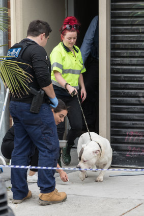 Police removed dogs from property on Lalor Street, Port Melbourne, during Wednesday morning's raids. 