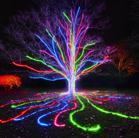 Lightscape will return to Perth this winter.