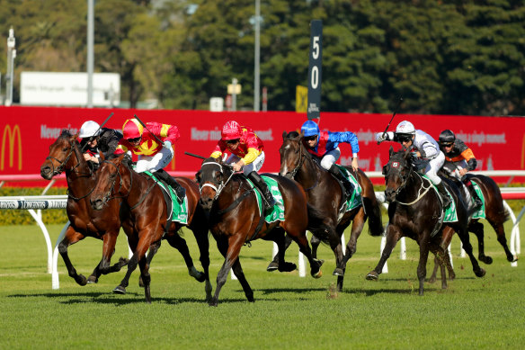 Tannhauser will have Zac Lloyd aboard at Rosehill.