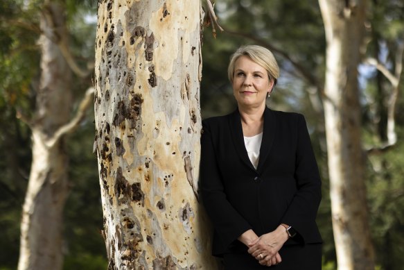 Environment Minister Tanya Plibersek says the laws are not fit for purpose. 