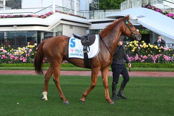 Vauban is the Melbourne Cup favourite.