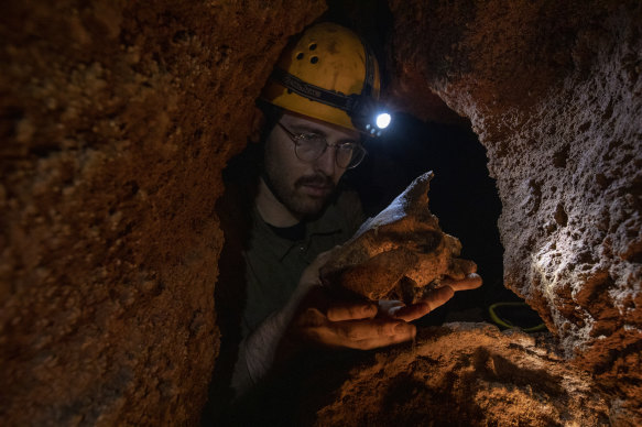 Paleontologist Tim Ziegler recovering the ancient short-faced kangaroo skeleton from NIghtshade Cave during a 60-hour mission.