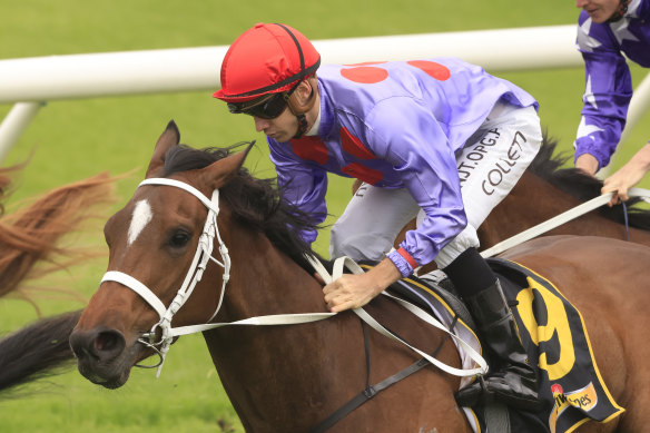Oscar Zulu got the cash for punters who backed the horse from $11 into $7 at Rosehill last Saturday.
