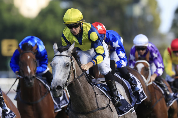 ‘She’s been a dream’ . . . American mare Lighthouse wins the Coolmore Classic at Rosehill.