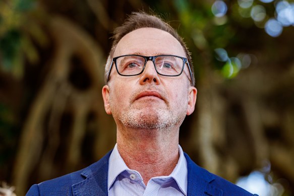 The woman’s experiences were cited in a letter handed to Greens leader David Shoebridge.