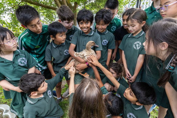 Dux of the class: Oakleigh Primary School is outperforming most private schools in NAPLAN testing for reading, writing and numeracy.