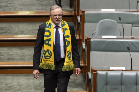 Prime Minister Anthony Albanese wore the green and gold in parliament this week.