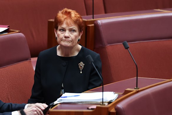 One Nation leader Pauline Hanson in the Senate.