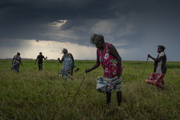 Nawarddeken women elders hunt for turtles with homemade tools on floodplains near Gunbalanya, Arnhem Land.