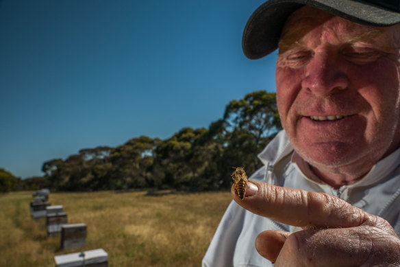 Despite concerns over the varroa mite, Grantley Johnson chooses to stay with his bees. 
