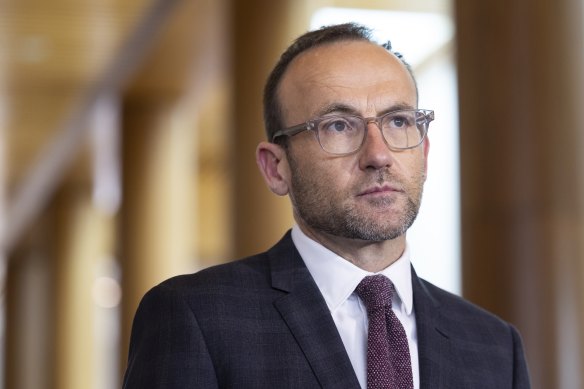 Greens leader Adam Bandt has demanded changes to the safeguard mechanism bill.