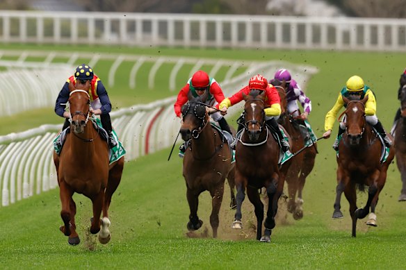 Nature Strip leaves his rivals in his wake in the Concorde Stakes.