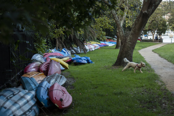 More than 100 boats, kayaks and paddle boards are left along fences at Rushcutters Bay and Beare Park.