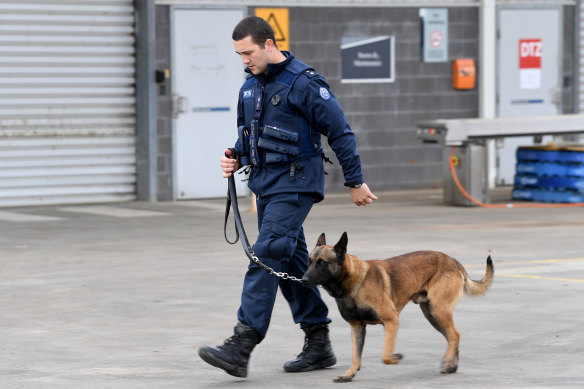 Officer Jessie Reid with Bronco the Belgian Shepherd at Victoria's 24-hour emergency rapid-response base at the Metropolitan Remand Centre in Ravenhall.