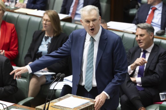 Immigration Minister Tony Burke during question time last week.