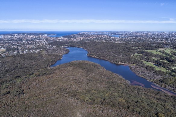 Manly Dam is home to many threatened species and is itself threatened by developments eating into is periphery, local environmentalists say.