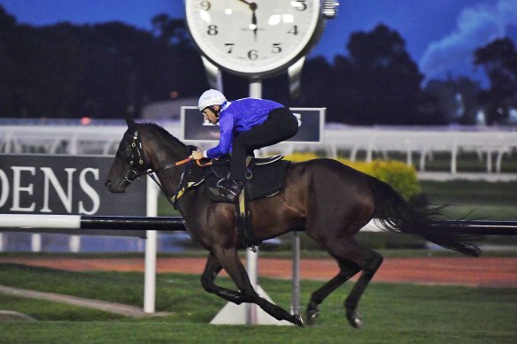 Australia’s finest racehorse of the modern era, Winx, was stabled at Rosehill.