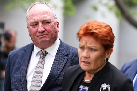 One Nation MP Barnaby Joyce appeared to equivocate over his leader’s comments on Tuesday morning.