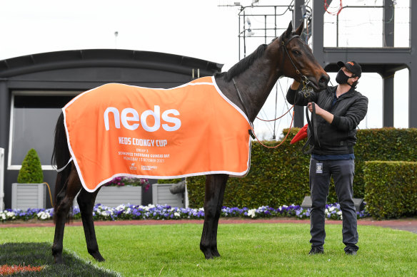 Duais won the Coongy Cup.