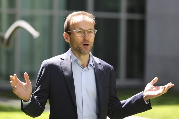 Greens leader Adam Bandt ... his party risks sacrificing votes to progressive independents. 