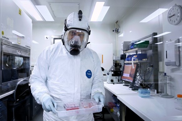 Associate Professor Stuart Turville, a virologist at the Kirby Institute, carries a COVID-19 Omicron variant sample to analyse antibody reaction.