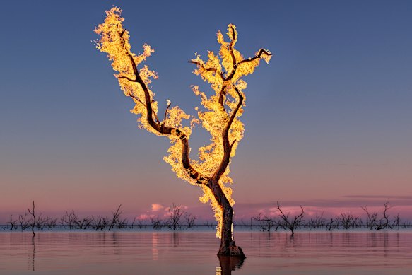 Murray Fredericks, Blaze 10. Contemporary images such as these have exploded in price and popularity.