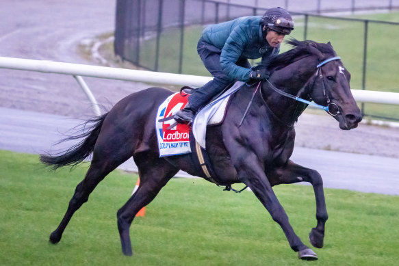 Gold Trip has not yet been passed fit to run in Saturday’s Cox Plate.
