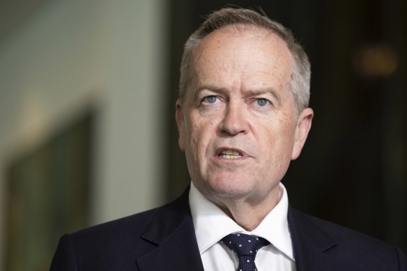 NDIS and Government Services Minister Bill Shorten singled out the school and mental health systems as areas where improved support was needed.