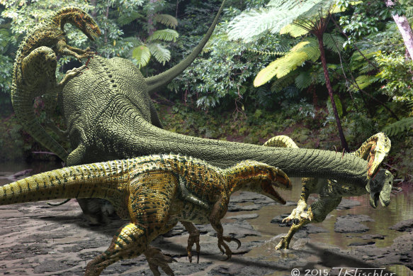 An artist’s impression of a fgroup of Australovenator wintonensis attacking a plant-eating dinosaur in the ancient outback.