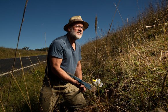 Tim Flannery searches for fossils on the side of the road in the Upper Hunter. He found several bone fragments from mammals that are 4 to 5 million years old.
