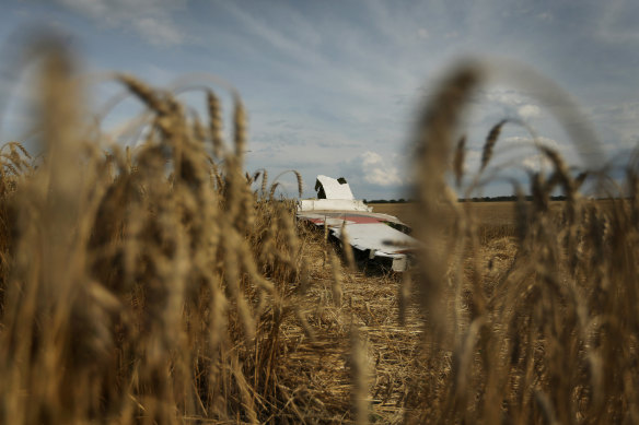Part of the MH17 wing lays in a field near the village of Grabovka in the self proclaimed Donetsk Republic, Ukraine. 