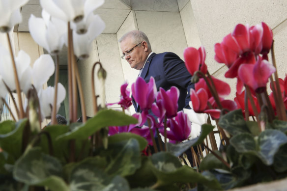 Scott Morrison faces the press in a Parliament House courtyard.