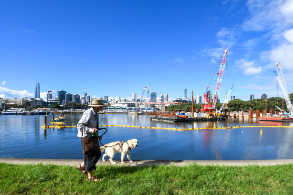 The government is forging ahead with its $750 million plan to relocate the Sydney Fish Market at Blackwattle Bay.