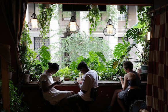 Screen time meets green time … patrons glued to their phones inside a lush, plant-filled cafe at No. 14 Ton That Dam in Ho Chi Minh City.