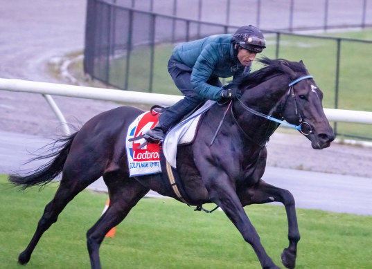 Gold Trip wasn’t passed fit for the Cox Plate and will finally make his Australian debut in the Winter Challenge at Randwick on Saturday.