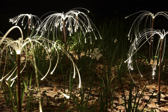 Fireflies 2019 by Bruce Munro