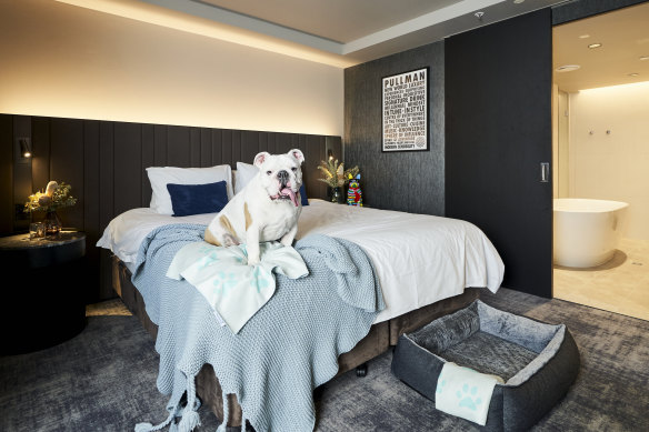 Gone to the dogs: BYO pooch when you check in to the pet suite at The Pullman Melbourne On The Park.