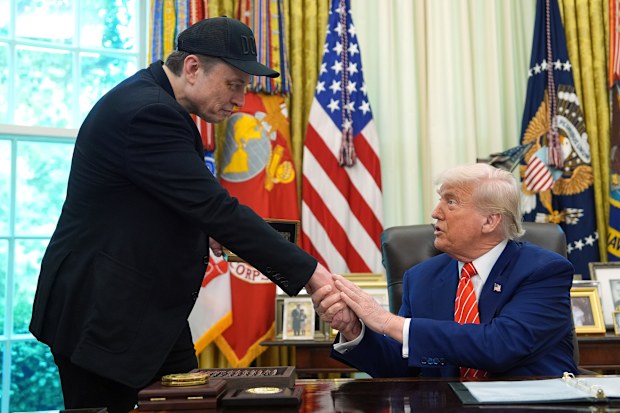 Donald Trump Elon Musk: US president lauds Tesla CEO in Oval Office as ...