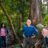 Speaking for the trees: Samantha Ratnam (left), Bob Brown and Sonya Semmens.