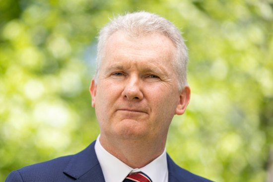 Workplace Relations Minister Tony Burke says he will consider a ban on importing engineered stone.