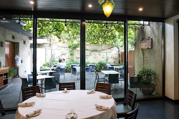 The courtyard and its grape vine canopy.