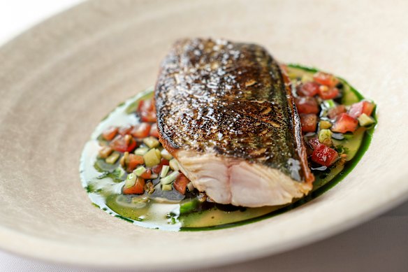 Bonito with sauce vierge.