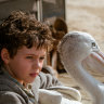 'Storm Boy': will Geoffrey Rush factor rain on family film's parade?