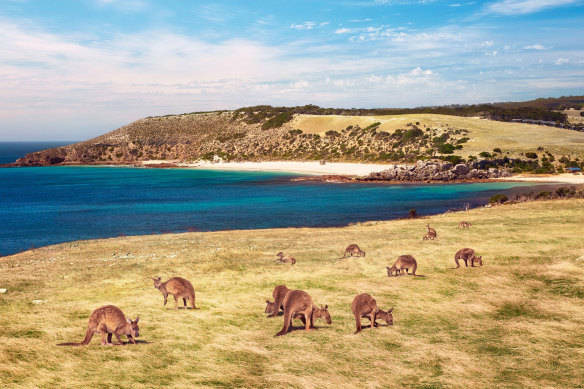 The picturesque Stokes Bay in South Australia took out the top spot in 2023.