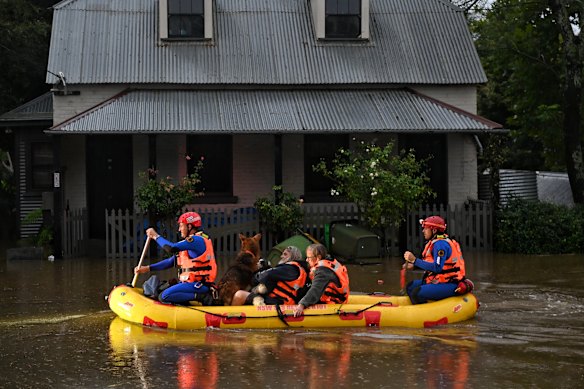 Darrell Davis and his dog being rescued by the SES in Windsor during a flooding event.