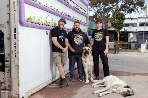 Field &amp; Fin’s Grant McGregor, Daryl Byrne and Marna Eringa at their new urban aquaponics farm in Marrickville.