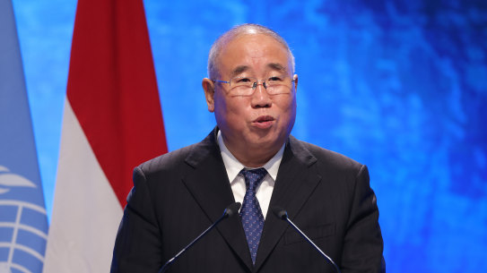 Chinese climate envoy Xie Zhenhua speaks during COP27 climate conference in Sharm El Sheikh, Egypt. 
