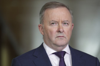 Opposition Leader Anthony Albanese has said the Labor party supports the wage subsidy.