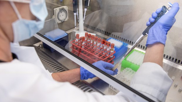 Samples from coronavirus vaccine trials are handled inside the Oxford Vaccine Group laboratory on June 25.